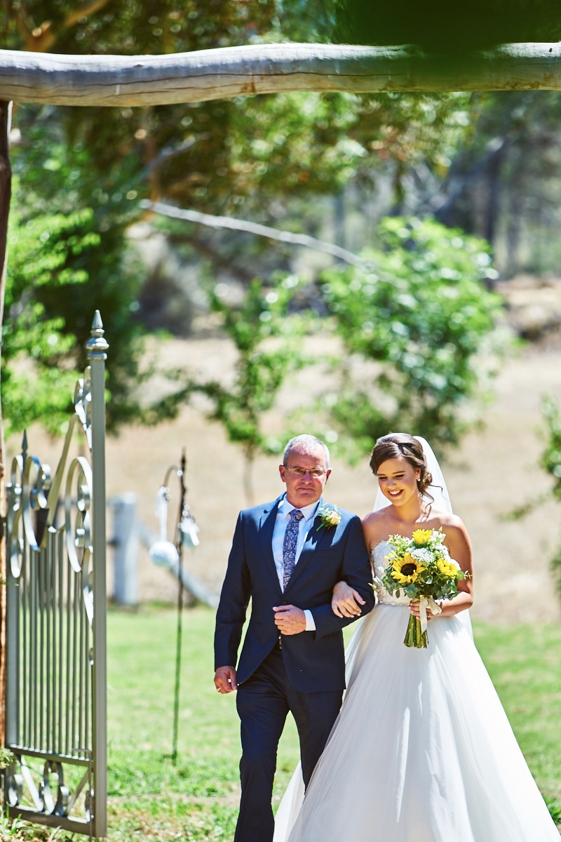 Stevens Estate Garden-1183074